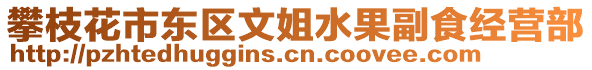 攀枝花市東區文姐水果副食經營部