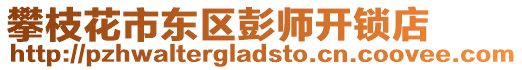 攀枝花市東區彭師開鎖店