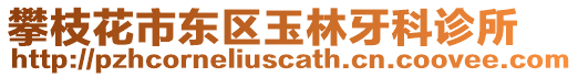攀枝花市東區(qū)玉林牙科診所