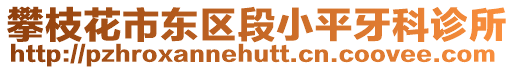 攀枝花市東區段小平牙科診所