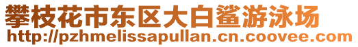 攀枝花市東區(qū)大白鯊游泳場(chǎng)