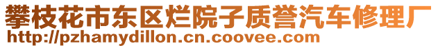 攀枝花市東區爛院子質譽汽車修理廠