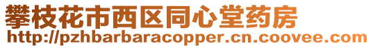 攀枝花市西區同心堂藥房