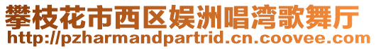攀枝花市西區娛洲唱灣歌舞廳