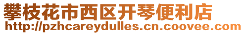 攀枝花市西區開琴便利店