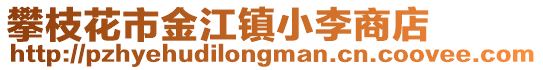 攀枝花市金江鎮小李商店