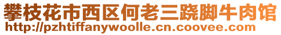 攀枝花市西區何老三蹺腳牛肉館