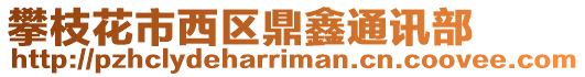 攀枝花市西區(qū)鼎鑫通訊部