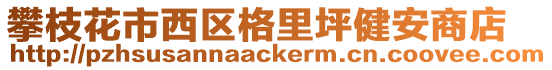 攀枝花市西區(qū)格里坪健安商店