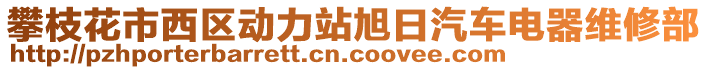 攀枝花市西區(qū)動(dòng)力站旭日汽車電器維修部