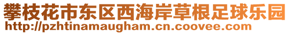攀枝花市東區(qū)西海岸草根足球樂園