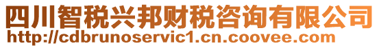 四川智稅興邦財稅咨詢有限公司