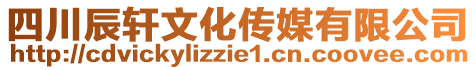 四川辰軒文化傳媒有限公司