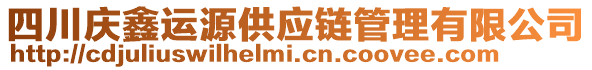 四川慶鑫運(yùn)源供應(yīng)鏈管理有限公司