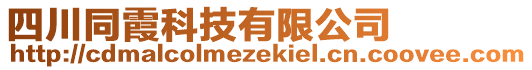 四川同霞科技有限公司