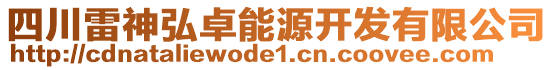 四川雷神弘卓能源開發(fā)有限公司