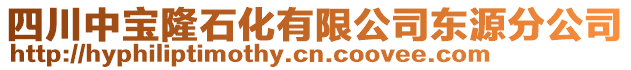 四川中寶隆石化有限公司東源分公司