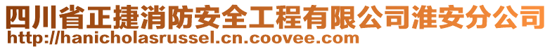 四川省正捷消防安全工程有限公司淮安分公司