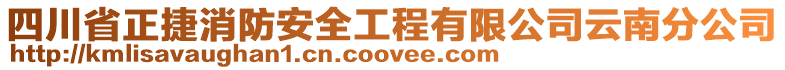 四川省正捷消防安全工程有限公司云南分公司