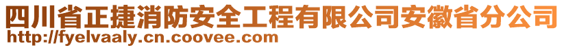 四川省正捷消防安全工程有限公司安徽省分公司