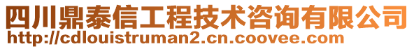 四川鼎泰信工程技術(shù)咨詢有限公司