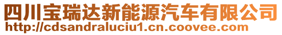 四川寶瑞達(dá)新能源汽車有限公司