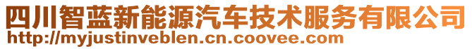 四川智藍新能源汽車技術(shù)服務有限公司