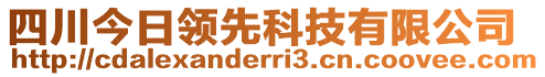 四川今日領(lǐng)先科技有限公司