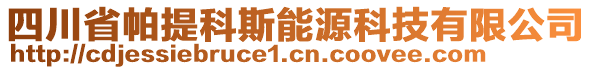 四川省帕提科斯能源科技有限公司