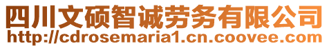 四川文碩智誠勞務(wù)有限公司