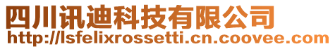 四川訊迪科技有限公司