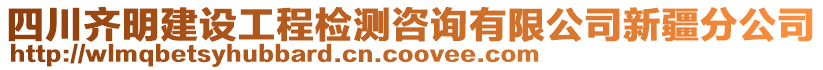 四川齊明建設(shè)工程檢測(cè)咨詢有限公司新疆分公司