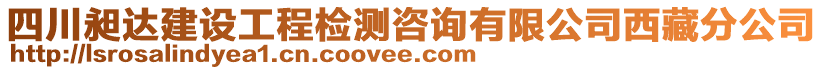 四川昶达建设工程检测咨询有限公司西藏分公司