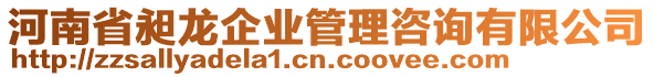 河南省昶龍企業(yè)管理咨詢有限公司