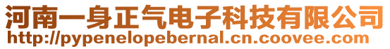 河南一身正氣電子科技有限公司