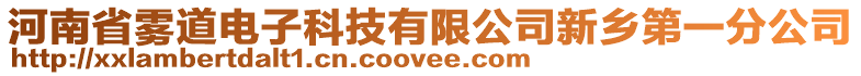 河南省霧道電子科技有限公司新鄉(xiāng)第一分公司