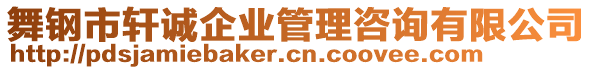 舞鋼市軒誠企業(yè)管理咨詢有限公司