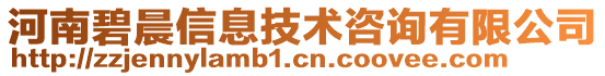 河南碧晨信息技術(shù)咨詢有限公司