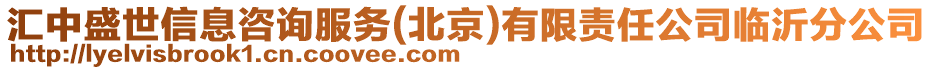 匯中盛世信息咨詢服務(北京)有限責任公司臨沂分公司