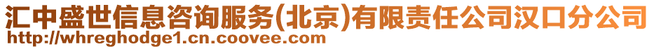 匯中盛世信息咨詢服務(北京)有限責任公司漢口分公司