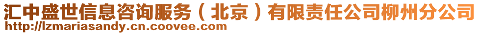 匯中盛世信息咨詢服務(wù)(北京)有限責(zé)任公司柳州分公司