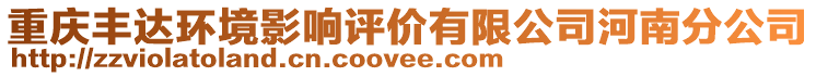 重慶豐達(dá)環(huán)境影響評價有限公司河南分公司
