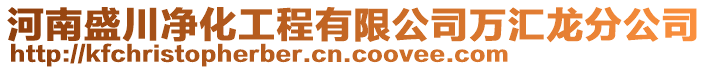 河南盛川凈化工程有限公司萬匯龍分公司