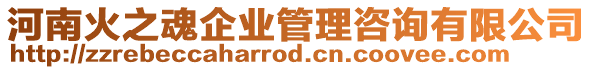 河南火之魂企業(yè)管理咨詢有限公司