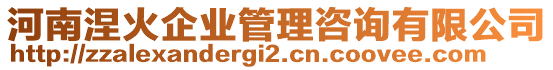 河南涅火企業(yè)管理咨詢有限公司