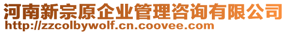 河南新宗原企業(yè)管理咨詢有限公司