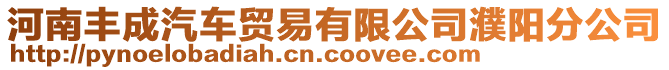 河南豐成汽車(chē)貿(mào)易有限公司濮陽(yáng)分公司