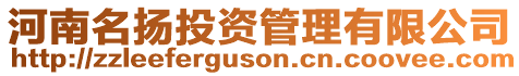 河南名揚投資管理有限公司