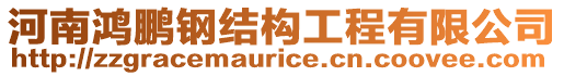 河南鴻鵬鋼結(jié)構(gòu)工程有限公司