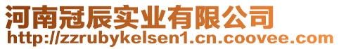 河南冠辰實業(yè)有限公司